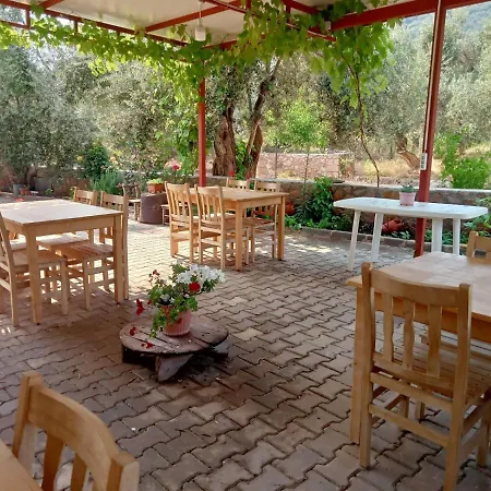 Assos Gunoven Cuisine & Butik Ayvacik