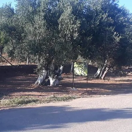 营地 Assos Gunoven & Butik Ayvacik (Canakkale)