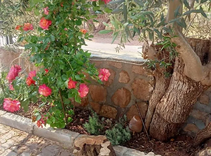 Assos Gunoven Cuisine & Butik Ayvacik (Canakkale)