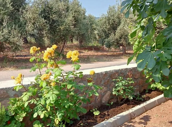 Assos Gunoven Cuisine & Butik * Ayvacik (Canakkale)