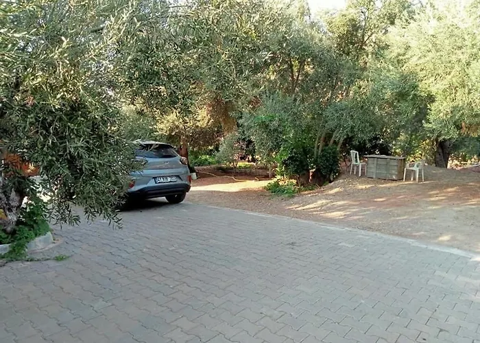 Assos Gunoven Cuisine & Butik Ayvacik (Canakkale)