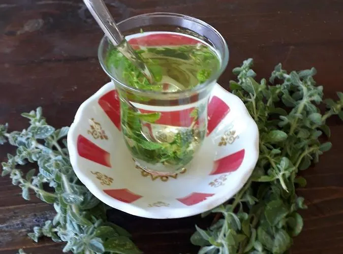 Assos Gunoven Cuisine & Butik *