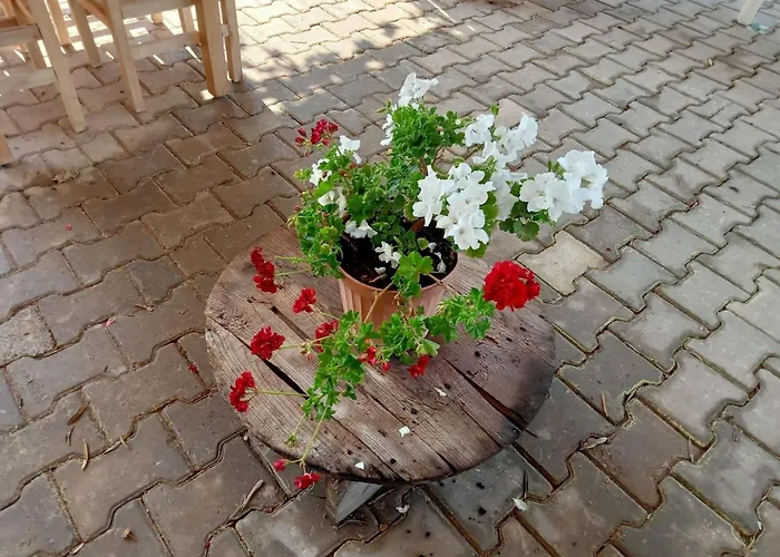 Assos Gunoven Cuisine & Butik