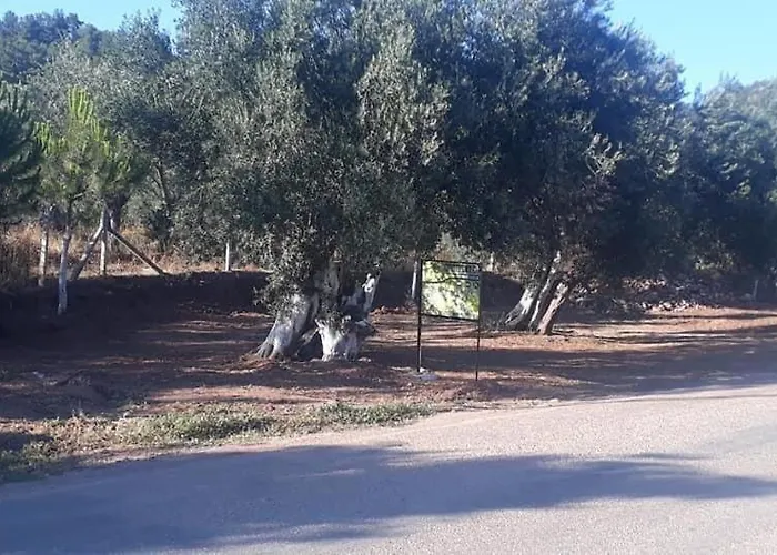 Campeggio Assos Gunoven Cuisine & Butik Ayvacik (Canakkale)